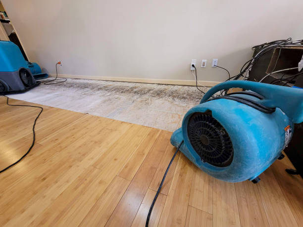 Professional Structural Drying technician working in Sumner, WA